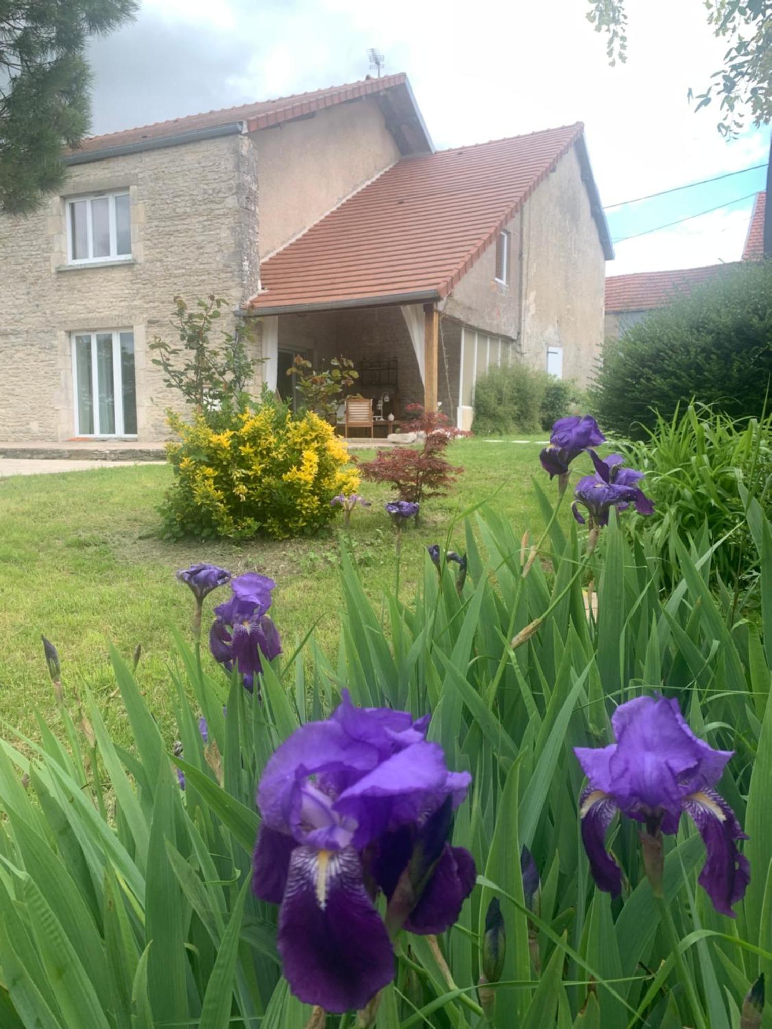 Maison Mard'Or Chambre Sylvae Mardor Exterior photo